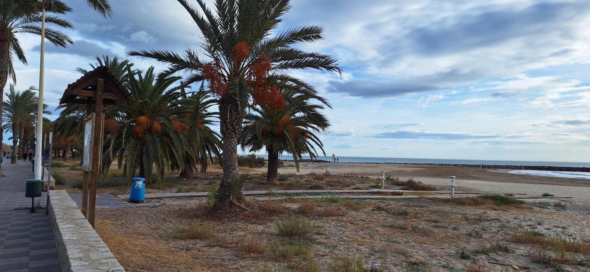 Vacaciones En El Mar Apartment Sagunto Екстериор снимка